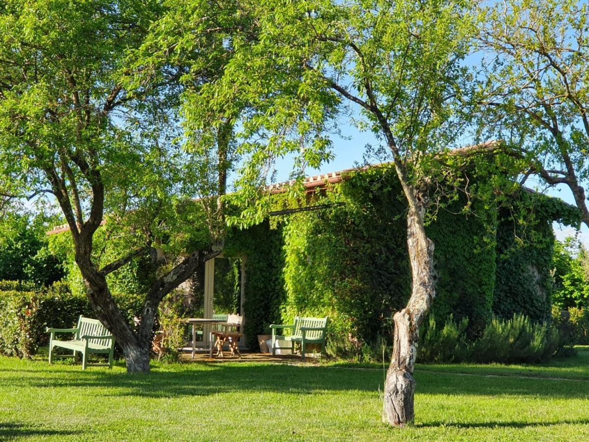 Commenda Ordine Di Malta Hotel Vignanello Luaran gambar